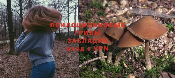 шишки Верхнеуральск