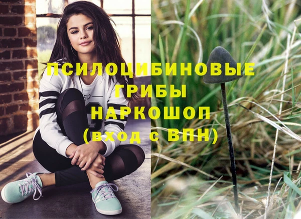 мяу мяу мука Тайга