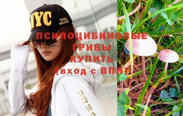 ПСИЛОЦИБИНОВЫЕ ГРИБЫ Тавда