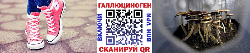 Купить  Петров Вал  Псилоцибиновые грибы мухоморы 